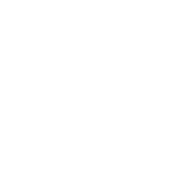チーム一体型支援（面）